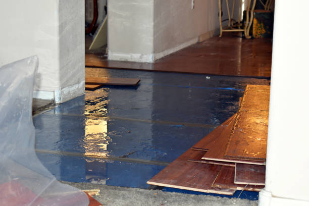 Professional Burst Pipe Cleanup technician working in Ennis, TX